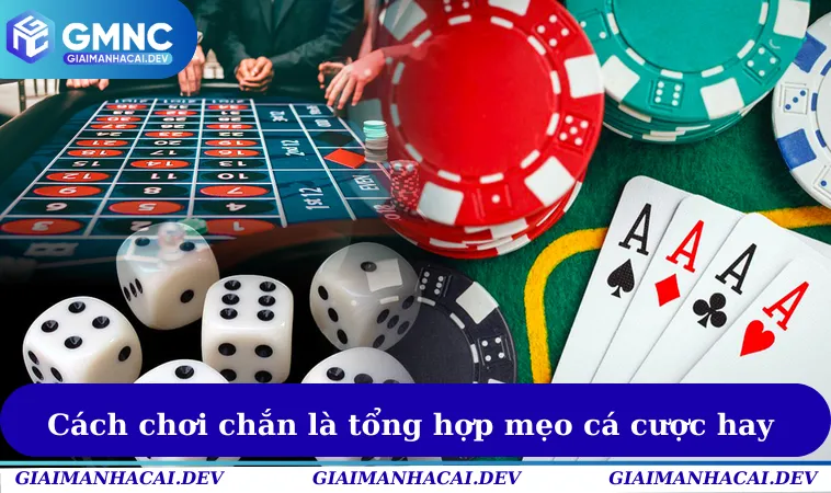 Cách chơi chắn là tổng hợp mẹo cá cược hay & hấp dẫn