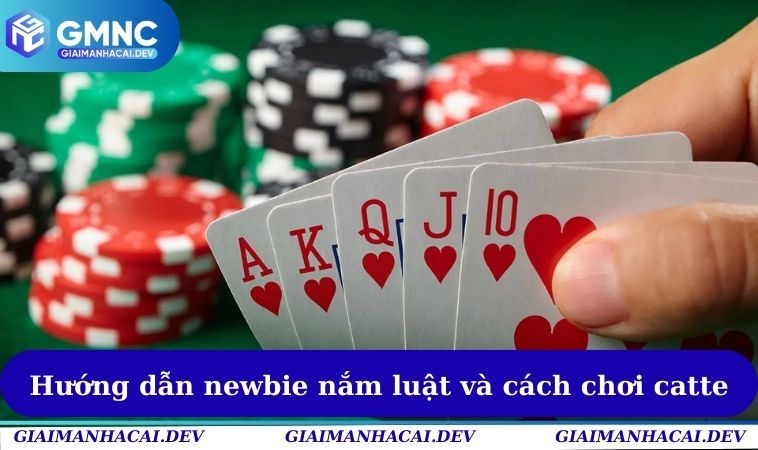 Hướng dẫn newbie nắm luật và cách chơi catte