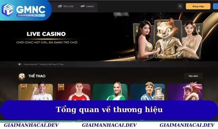 Tổng quan về thương hiệu